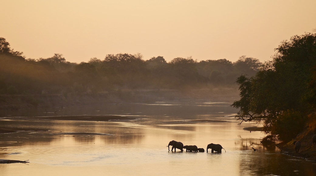 Zambia