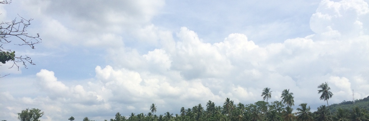 Pinnawala (平纳瓦拉), 斯里兰卡