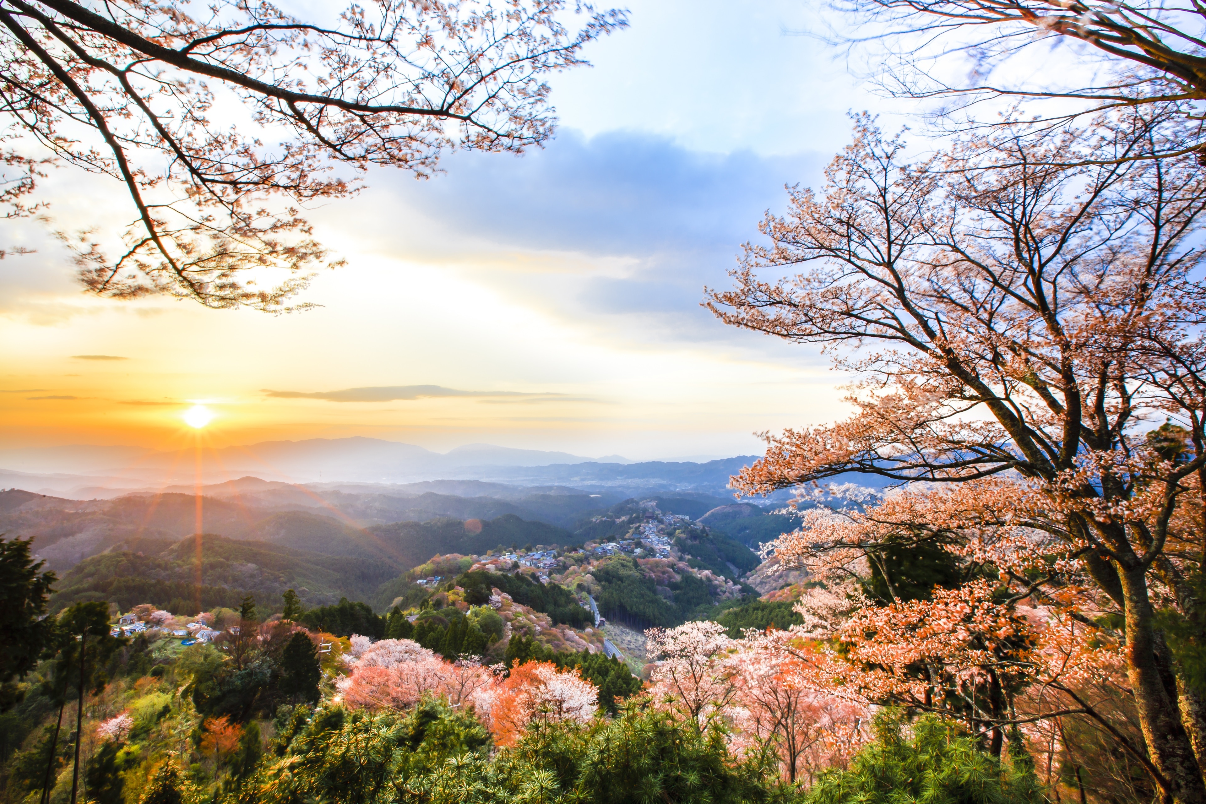吉野熊野国立公園 (日本) - ツアーとアクティビティ | エクスペディア