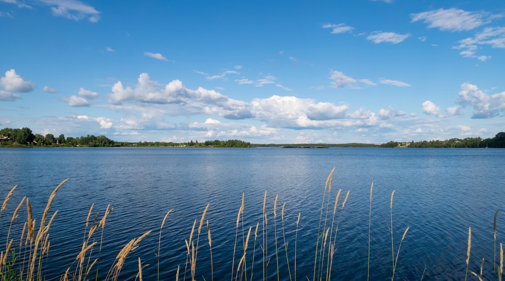 Abitibi-Temiscamingue