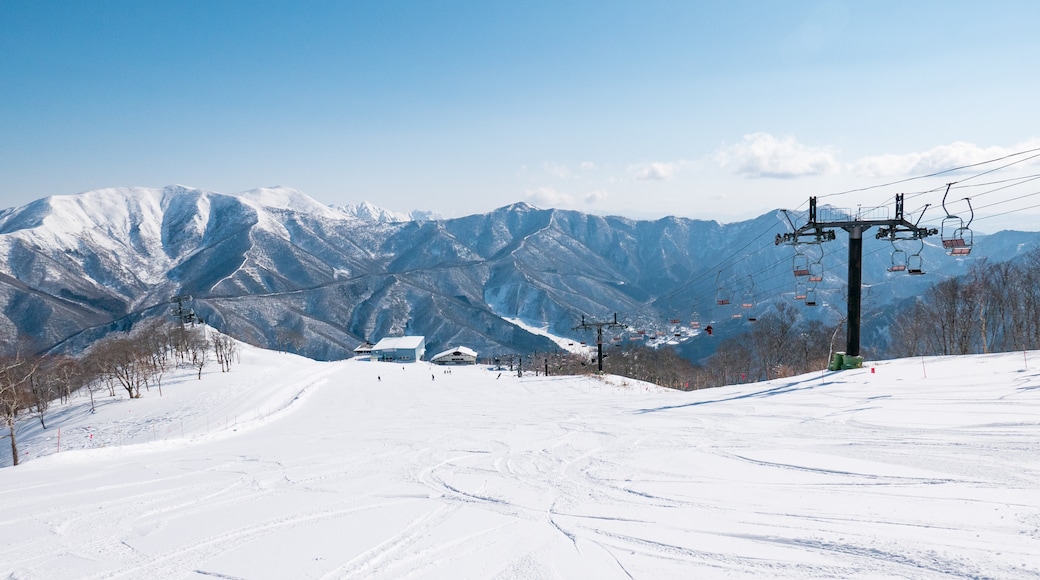 神樂滑雪場, 湯澤, 新潟, 日本
