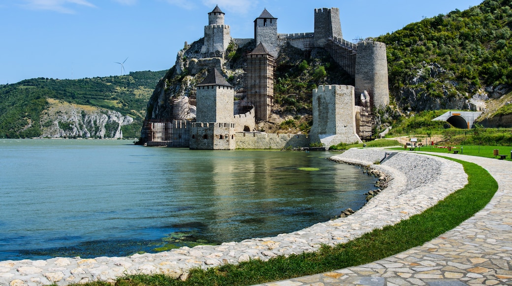 Golubac