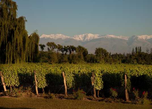 Mendoza, Argentina
