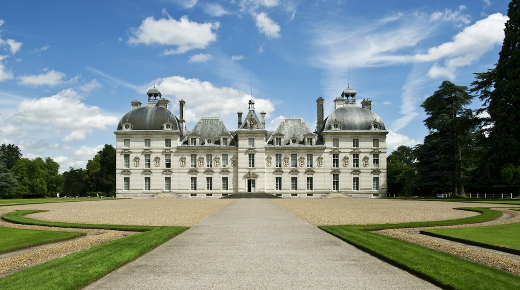 Cour-Cheverny