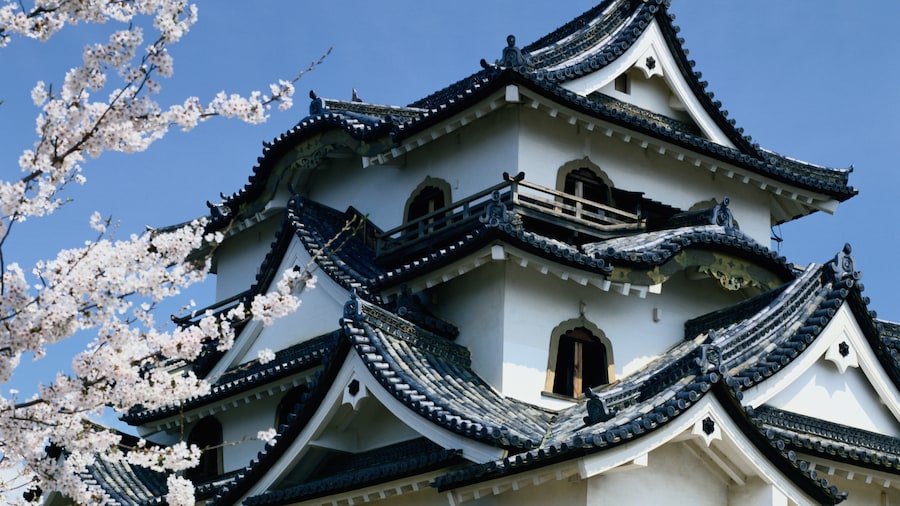 Castillo de Hikone