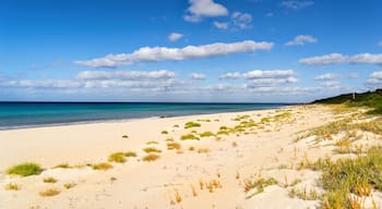 Eagle Bay, Busselton, Western Australia, Australien