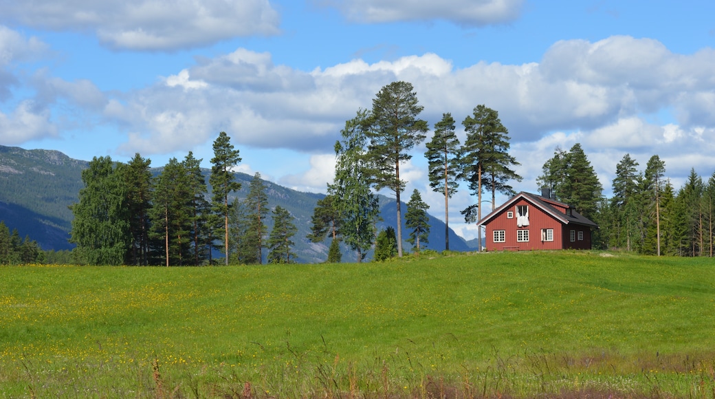 Vrådal, Kviteseid, Vestfold og Telemark, Norway