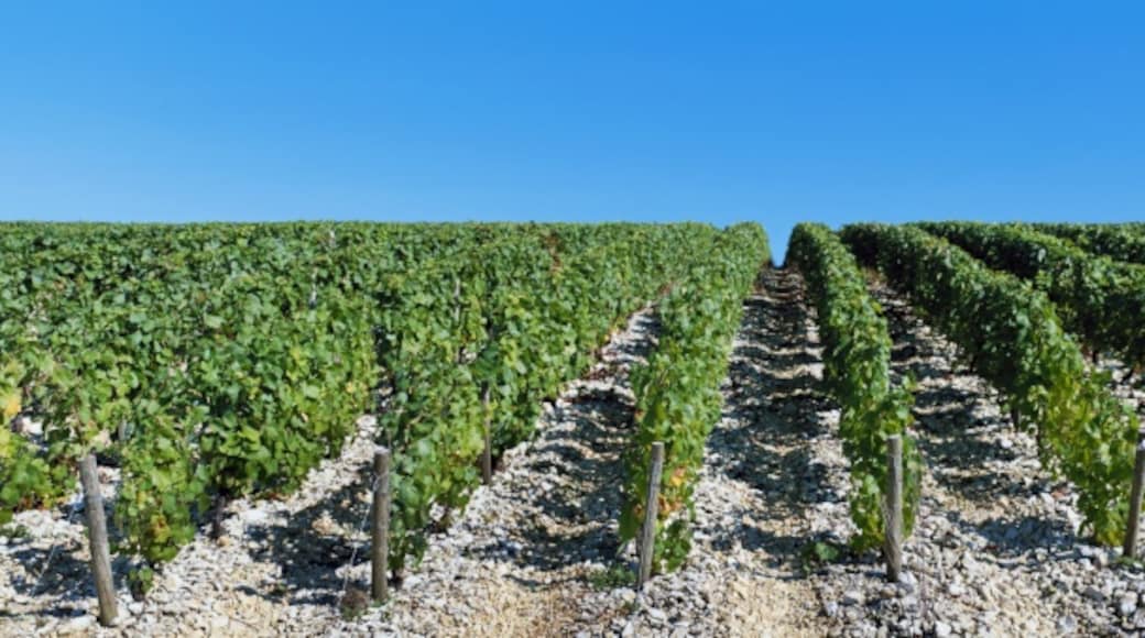 Fère-Champenoise