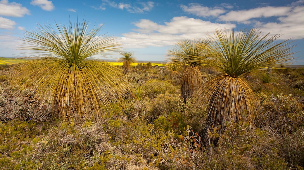 Lesueur National Park