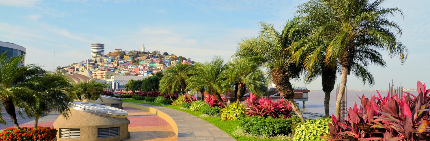 Tarqui, Ekvadoras