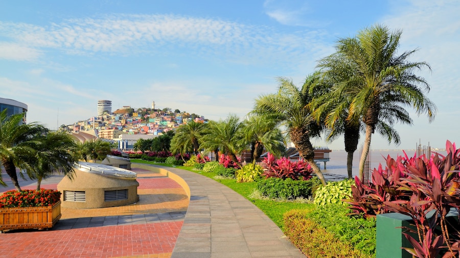 Santa Ana Hill