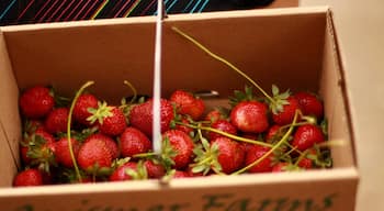 Strawberry Picking at the Gnismer Farms is a great place for strawberry picking in Dallas, Texas. I also bough organic white onions, potatoes and garlic!
#localgem 