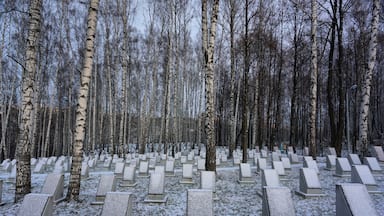 The military section of the cemetery is a lot more organized than the civilian area.
