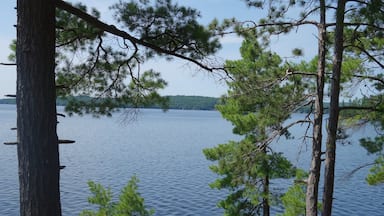 This is one of the tiniest of provincial parks in Ontario but ROUND LAKE is gorgeous, the trees untouched and the views ever so beautiful. #NATURE