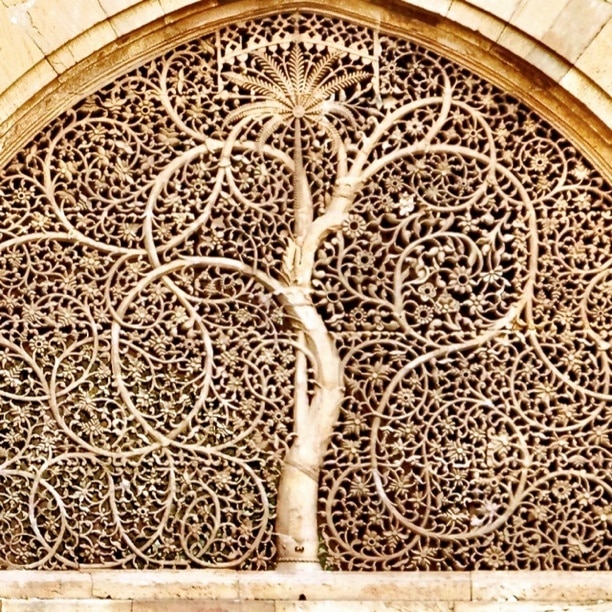 Finely cut sandstone screen (jali) depicting the Tree of Life, a theme that spans many religions. This particular jali is often considered the finest stone screen in the world.  Built in 1573.