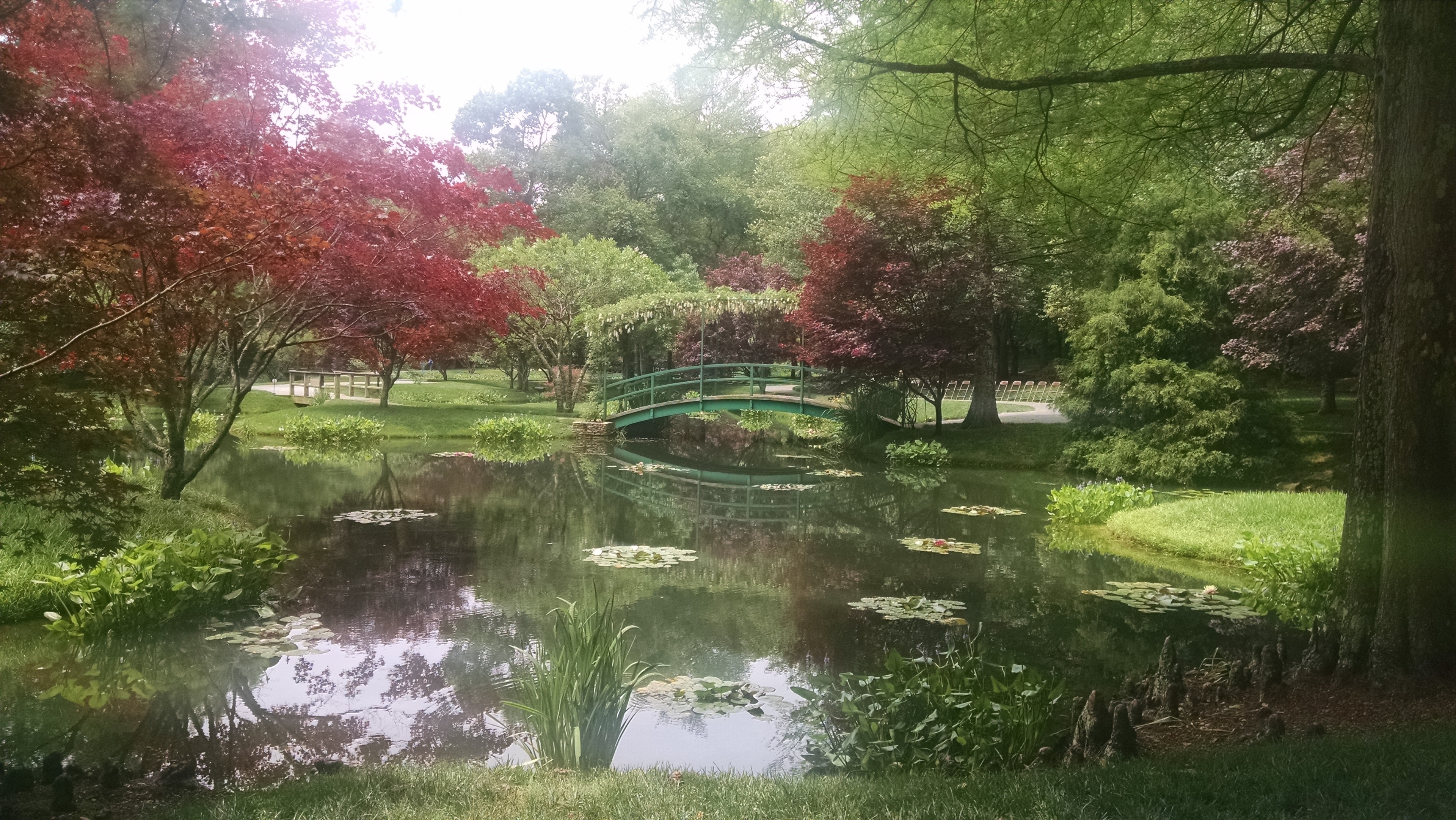 Visit Ball Ground 2023 Travel Guide for Ball Ground, Expedia