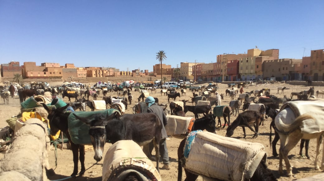 Souqs of Rissani, Rissani, Drâa-Tafilalet, Morocco