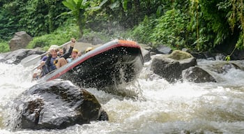  We went White Water Rafting on the Ayung River with Bali Adventure Tours outfitter and they could not have been more accommodating to our group. The experience was truly Epic ! One thing to be aware of is the steep trek down to and up from the river. 200+ stairs... if you have weak knees or you are not in good shape you might want to think about it. 

Once on the river you will experience class 2-3 rapids. You are deep in the canyon and will feel very small. Theres a lot of canopy, tons of bamboo, flora and fauna. I did not feel I needed sunscreen as there was mostly shade. The water was cool to cool and a refreshing reprieve from the hot and humid climate. 

I would do this one again !