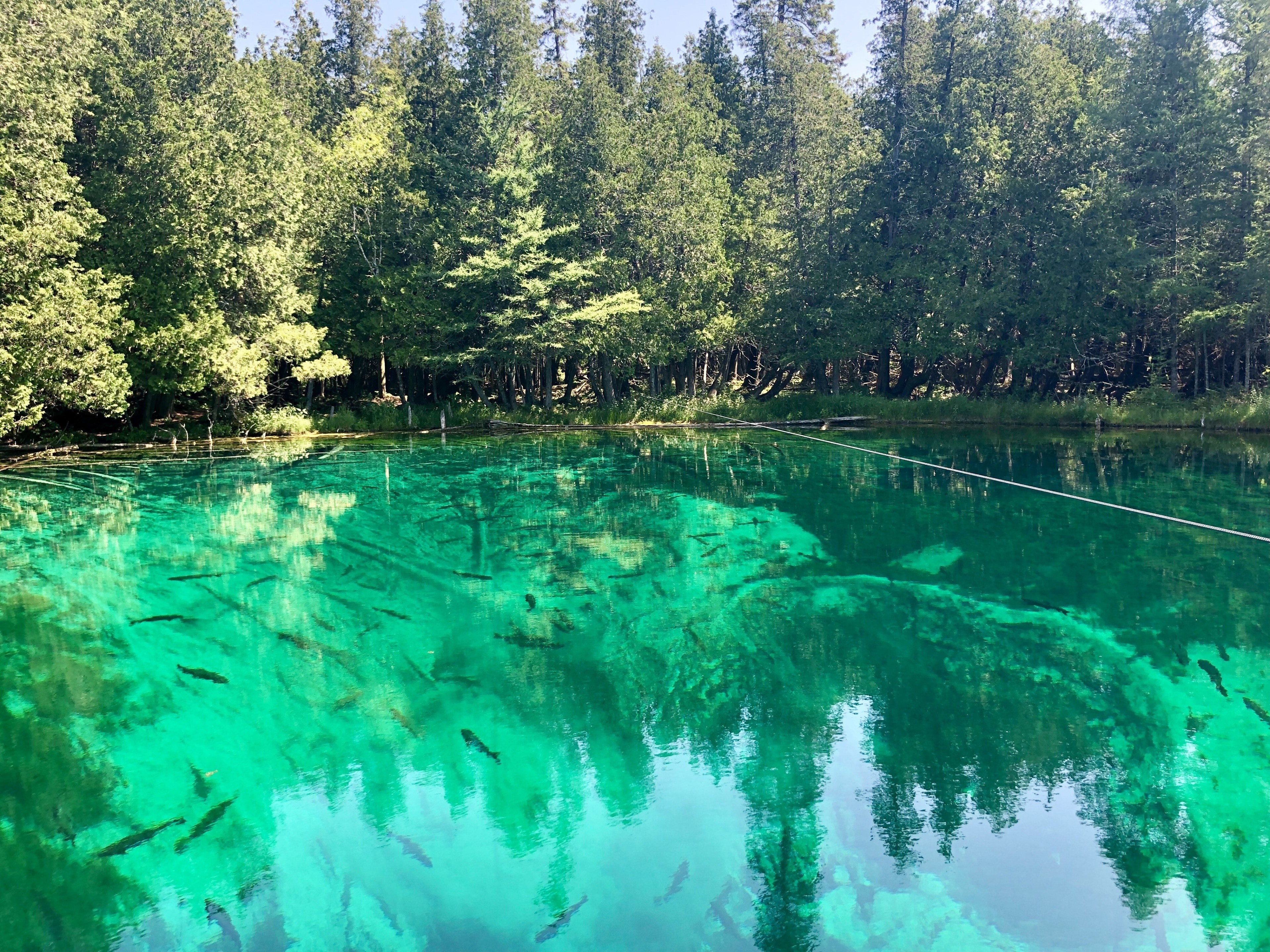 Yes, the water really is this color. The largest spring in Michigan with over 10,000 gallons per minute gushing from fissures in the limestone. At its deepest the water is 40 feet deep and averages 42 degrees year round.