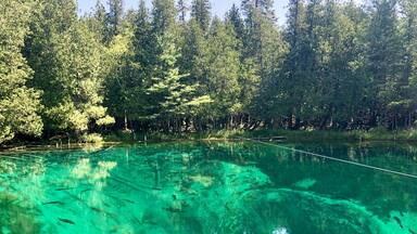 Yes, the water really is this color. The largest spring in Michigan with over 10,000 gallons per minute gushing from fissures in the limestone. At its deepest the water is 40 feet deep and averages 42 degrees year round.