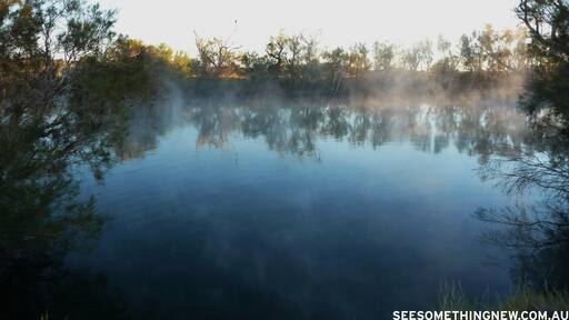 Ảnh của See Something New