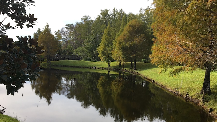 UCF’s campus in the fall
