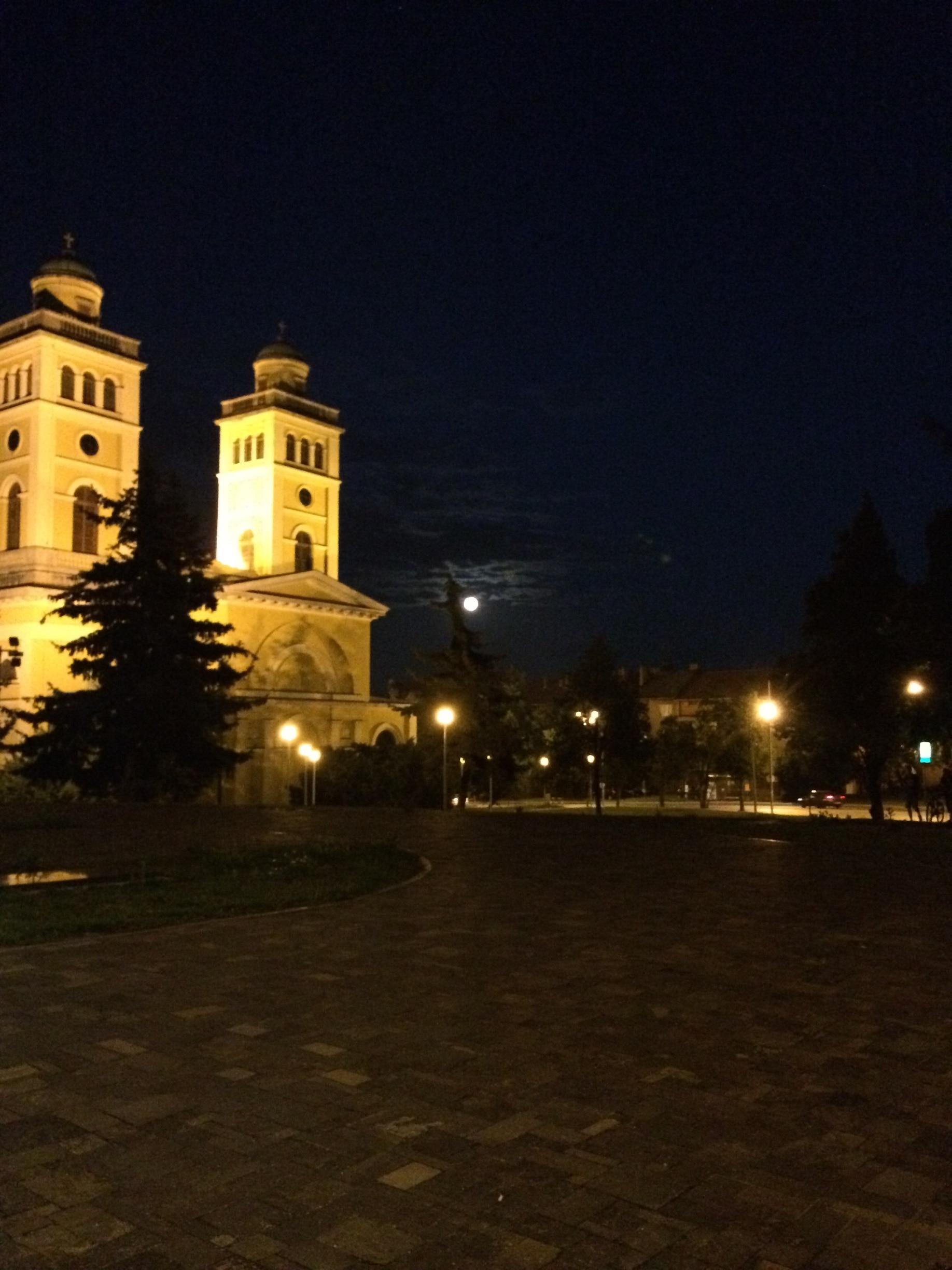 Photo by Kristóf Reibl