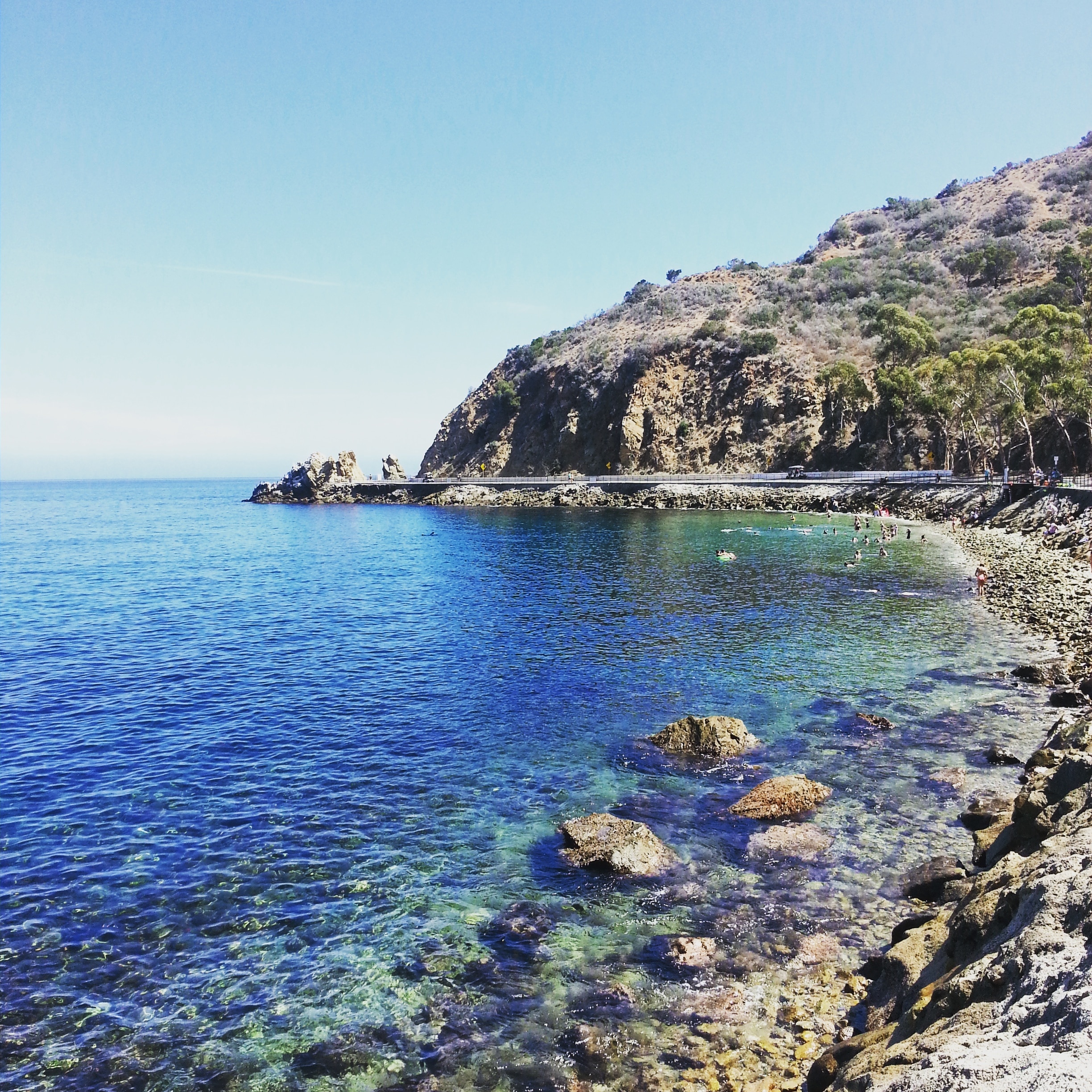 Go snorkeling in the beautiful blue waters of Catalina Island's lover's cove. It's a protected area with lots of corals and sea life. 
