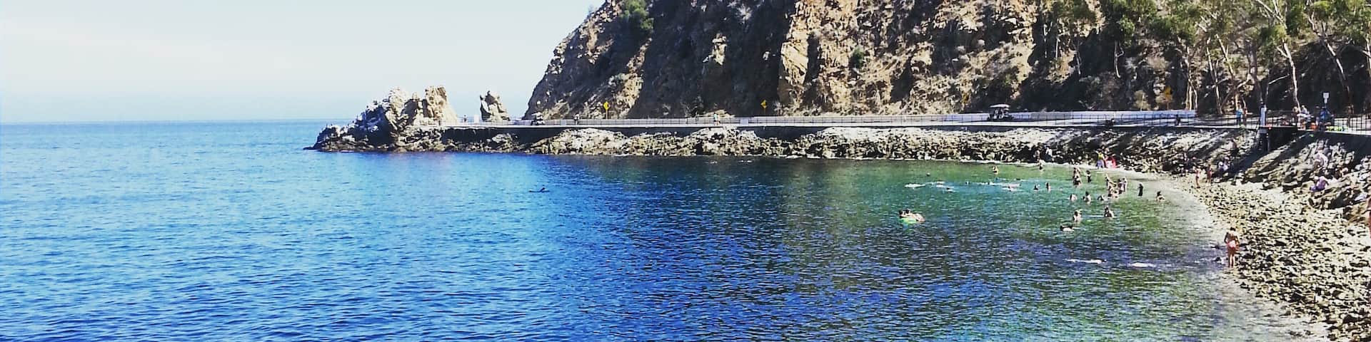 Go snorkeling in the beautiful blue waters of Catalina Island's lover's cove. It's a protected area with lots of corals and sea life.