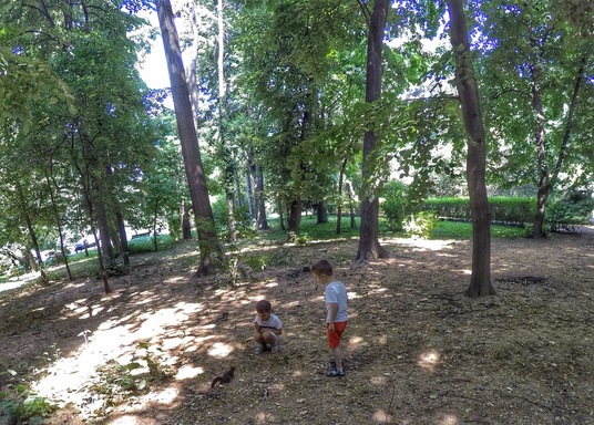 Sector 1, Romania