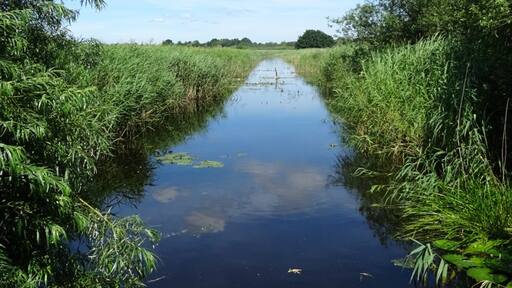 Foto von Nicola Evans