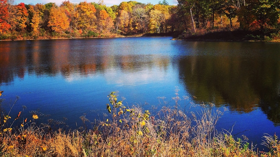 Frear Park