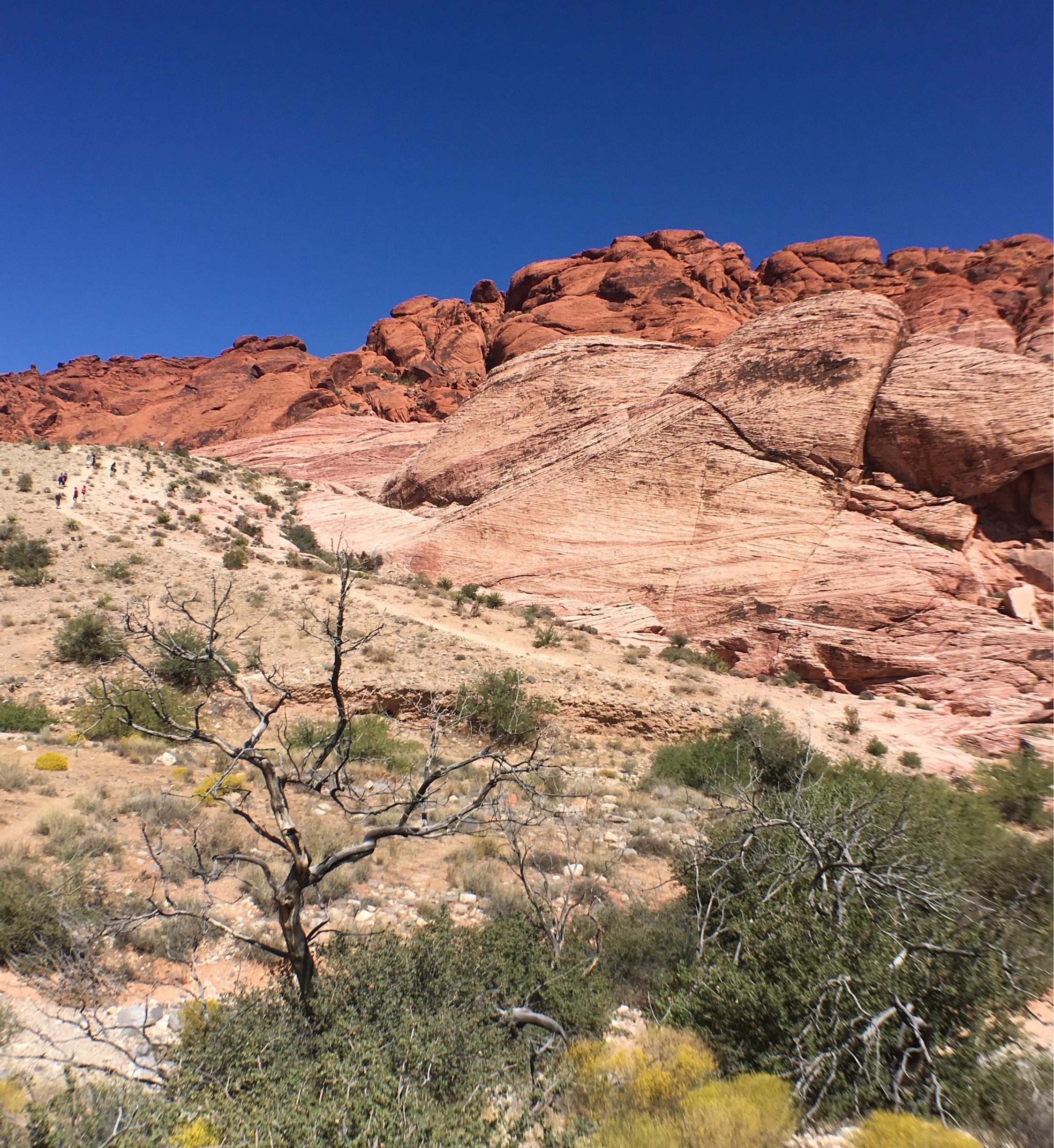 Family vacations: Red Rock Canyon National Conservation Area