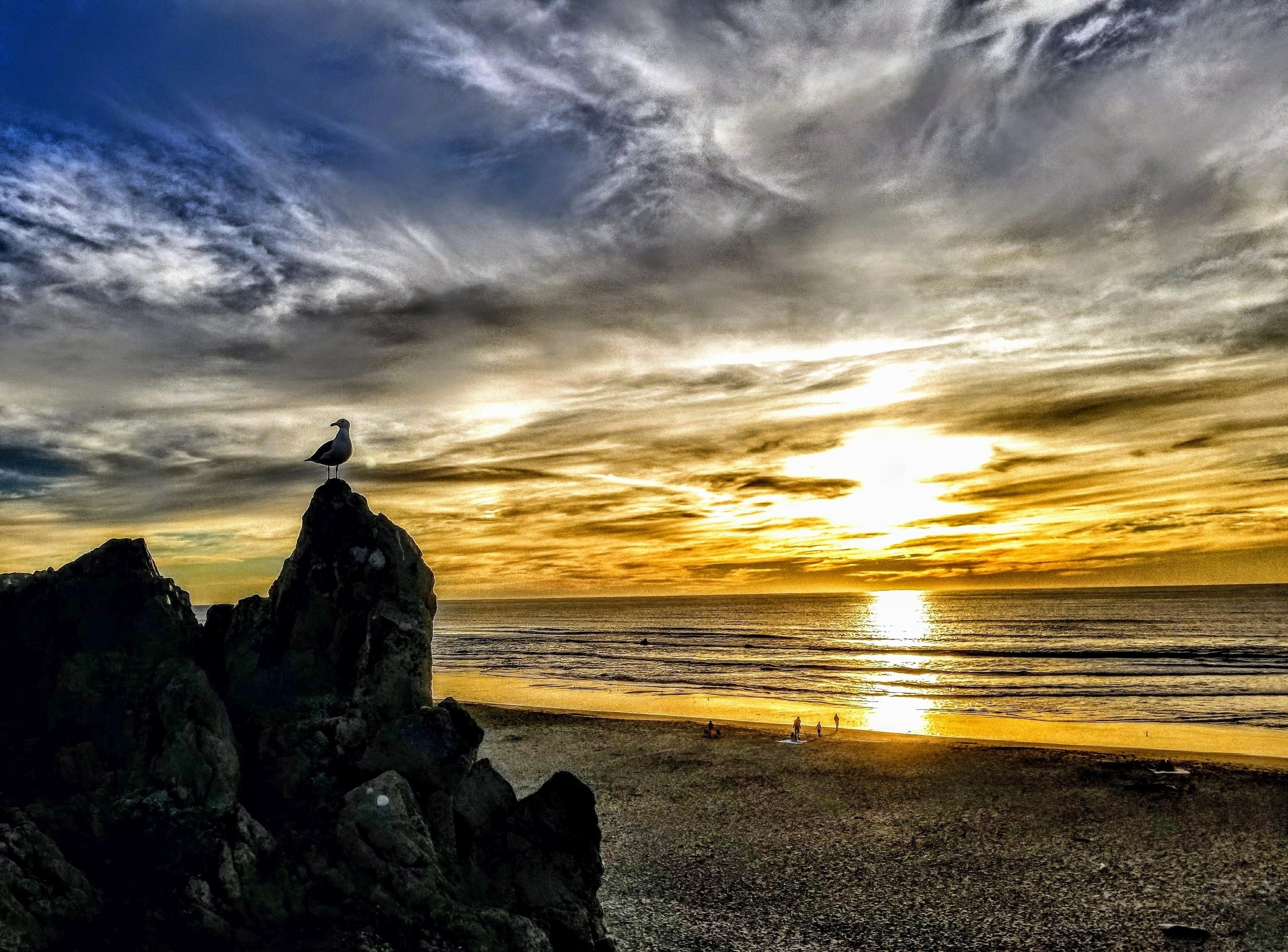 Sanger, CA Vacation Rentals house rentals & more Vrbo