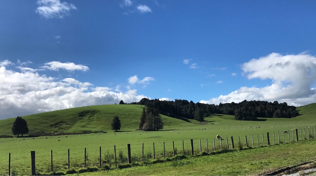 Papakura, Auckland Region, New Zealand