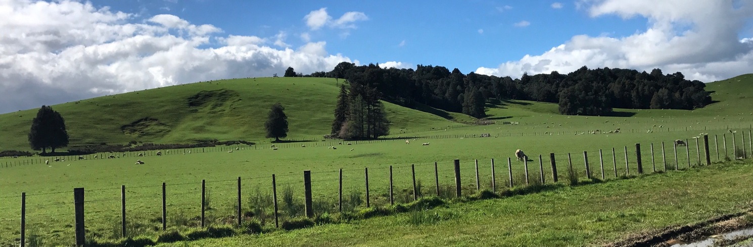 Papakura, Selandia Baru