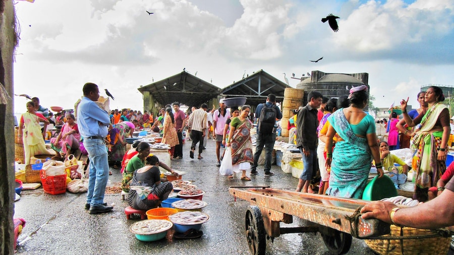 A regular morning at the docks. More chaos equals to more money.