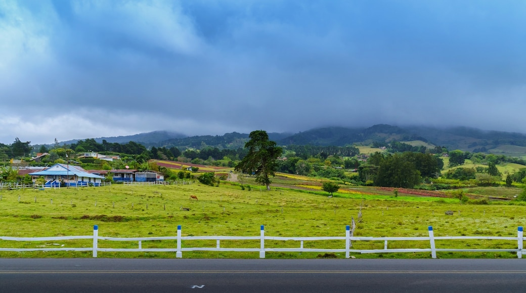 Heredia, Heredia Province, Costa Rica