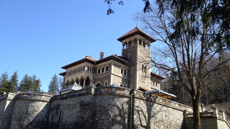 Cantacuzino Castle is situated on Zamora Street in Bușteni, Romania. The building, whose construction was completed in 1911, was conducted by the architect Gregory Cerchez at the request of Prince George Grigore Cantacuzino. It is built in Neo-Romanian style; the total surface of the estate is over 3,000 square meters.
The castle belonged to the Cantacuzino family until the forced nationalization of 1948, when it became a sanatorium for the Ministry of Internal Affair. During the communist period, the original furniture was removed and a part of the interior walls were painted over. After 1989, the castle was returned to Cantacuzino descendants, who sold it to private investors in 2004.