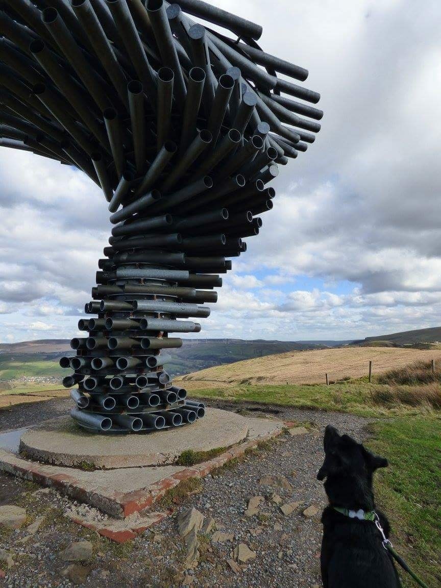 Sculpture sonore The Singing Ringing Tree, Burnley, Angleterre, Royaume-Uni