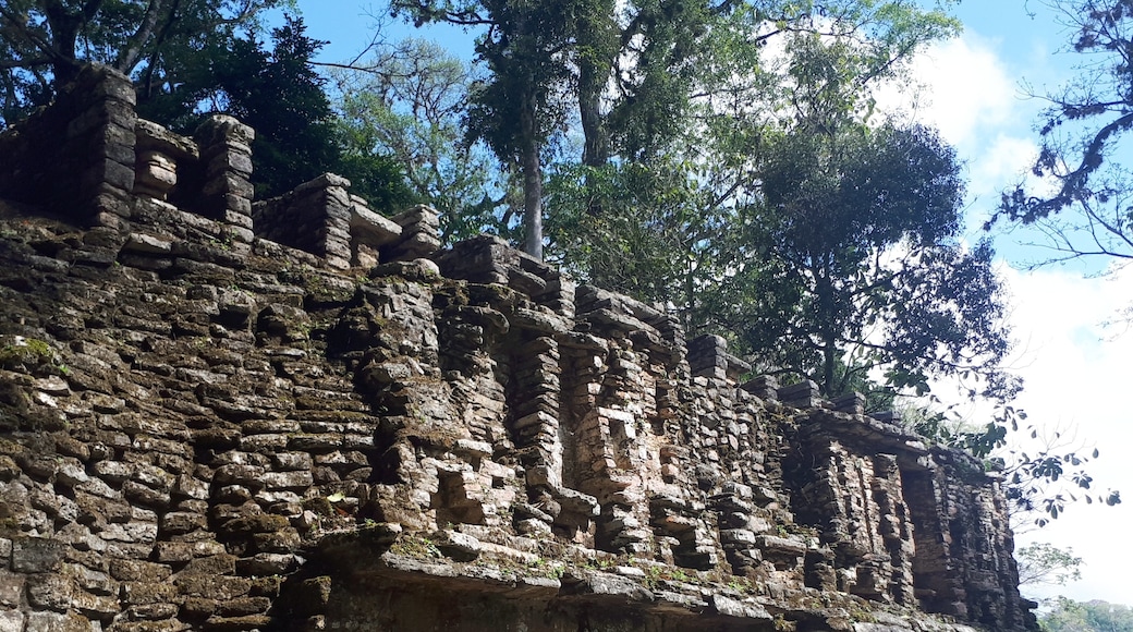 Archäologische Ausgrabungsstätte Yaxchilán, Ocosingo, Chiapas, Mexiko