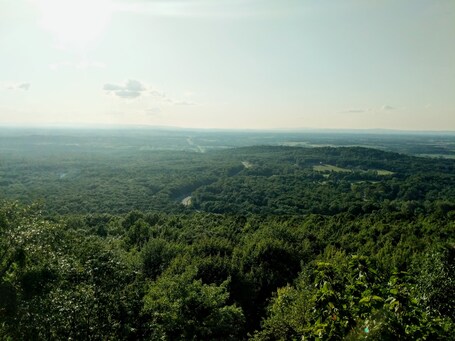 Bluemont