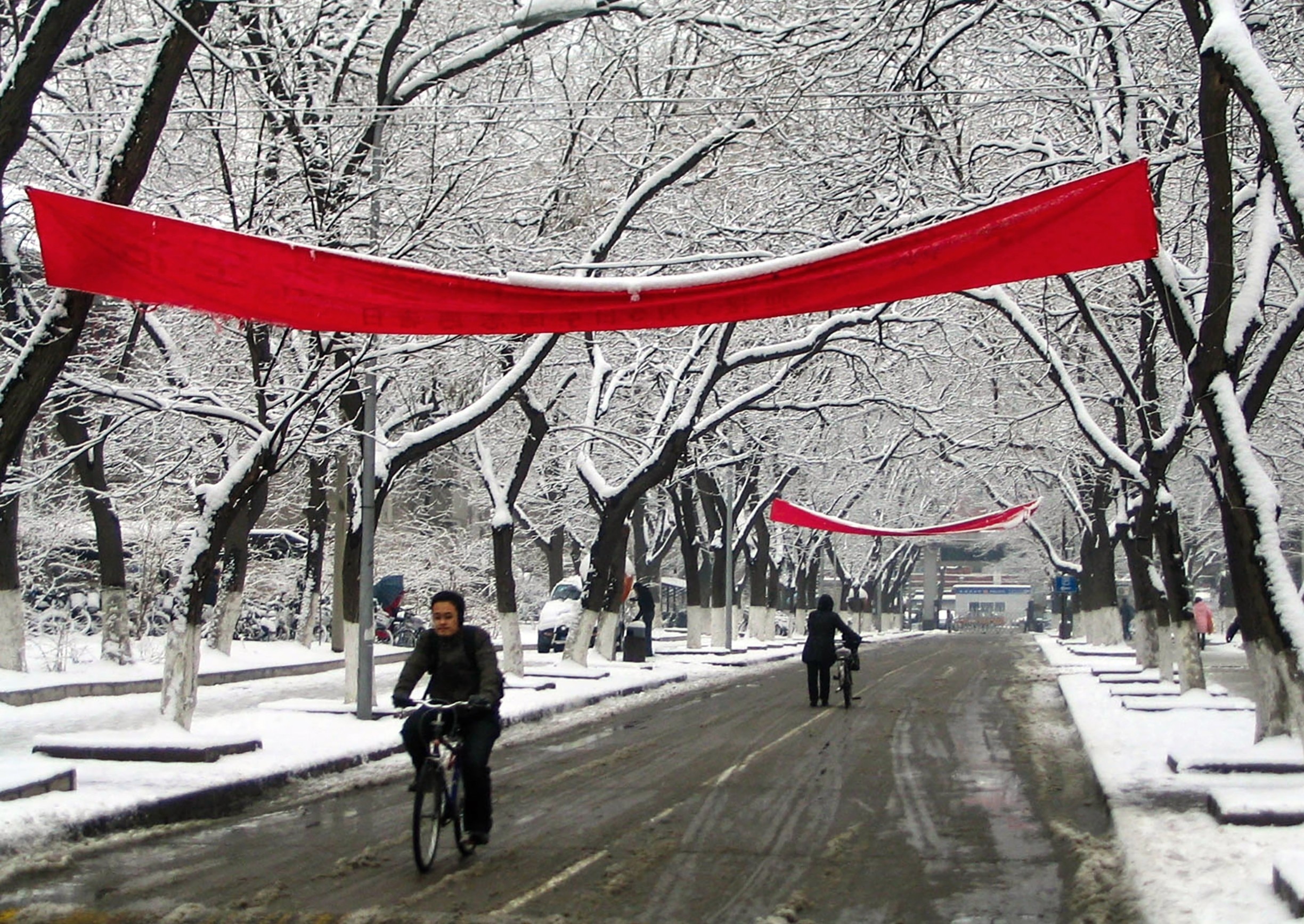 Peking University (as it's still referred to in English) has beautiful grounds, even in winter. #snow