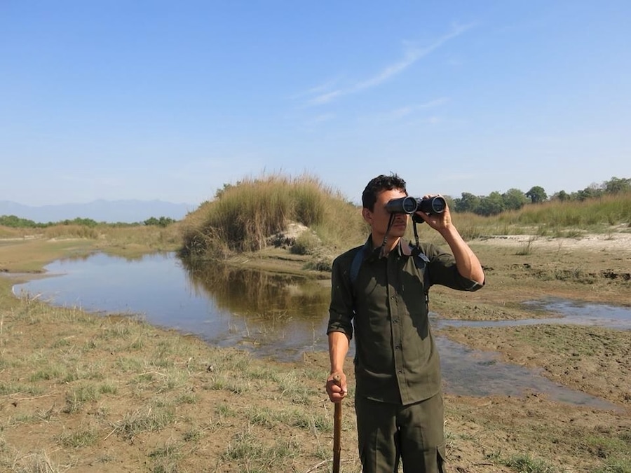 Walking safaris in Bardia National Park are such an exhilarating way to see the local wildlife. You'll walk beside elephant and tiger footprints, bird watch with binoculars and spy on rhinos bathing while hidden in the forest! While it's tougher to get to than Chitwan, Bardia is worth every sleepless hour on the bus!