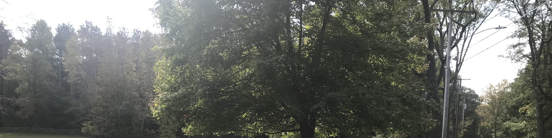 Lovely rock walls in Connecticut.