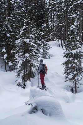 Snow shoeing in deep powder.