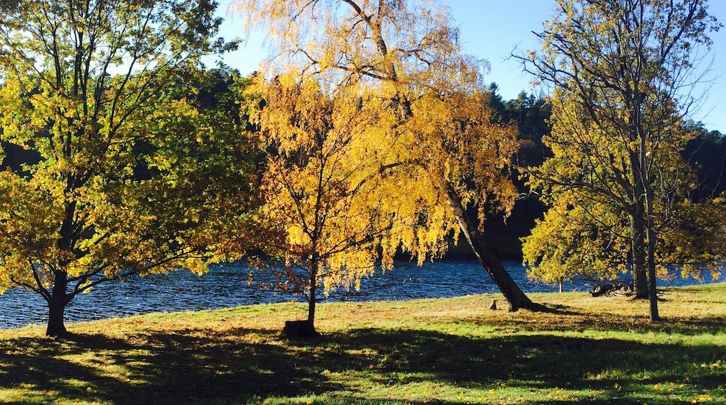 Foto von Marcus Grönvall