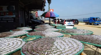 #Fish drying 晒鱼. 

https://twitter.com/Beautifulgx