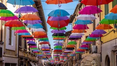 As the picture of @Jelmer taken in Namur I shot this similar picture of a street with a lot hanging umbrellas. It was a fascinating place. A beautiful and practical solution to create shadow in this warm environment. We liked the beautiful colors. What do you think?

#tuscany #italia #europe #umbrellas #pietrosanta
