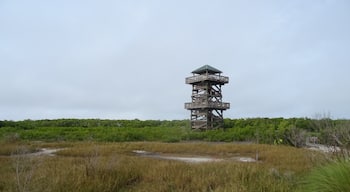 Robinson Preserve is a 487 acre coastal and wetland habitat preserve in Bradenton, Florida.